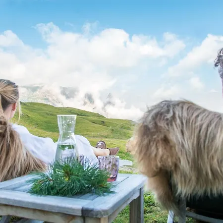 Goldknopf 4* Alpe Di Siusi