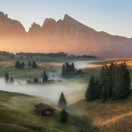 Goldknopf Alpe Di Siusi